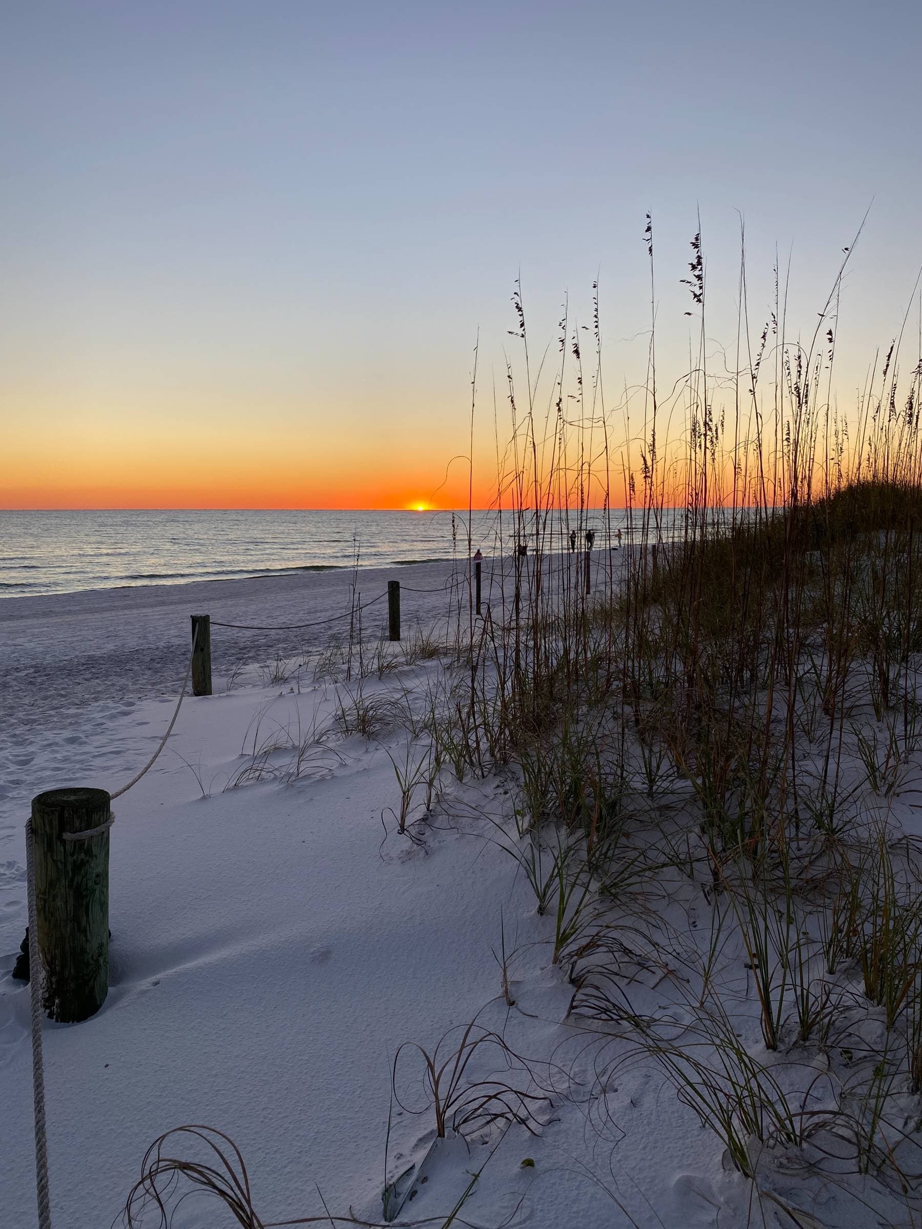 Welcome to Palmeras Marinas – Your Coastal Family Retreat!